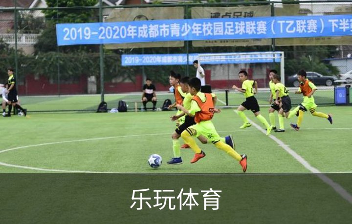 乐玩体育简介