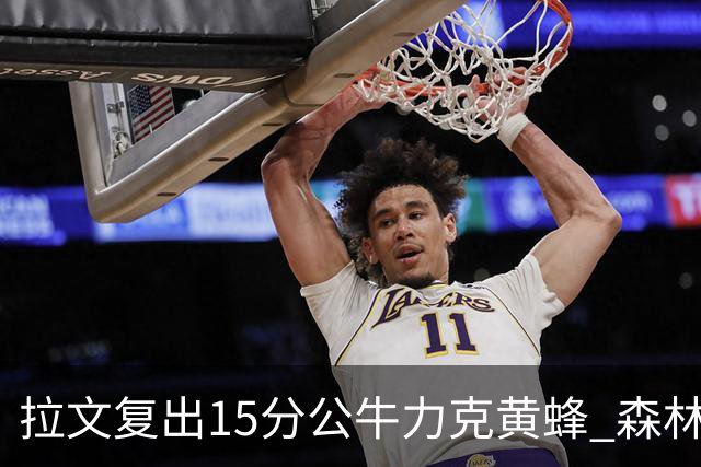 拉文复出15分公牛力克黄蜂 森林狼大胜火箭